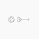 2 ct Square Cushion White Lab Diamond Stud Earrings | 4 ct total