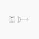2 ct Emerald White Lab Diamond Stud Earrings | (4 ct total)